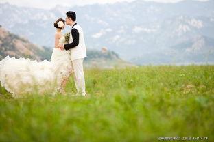 青青青草国产费观看,国产费观看的青春记忆