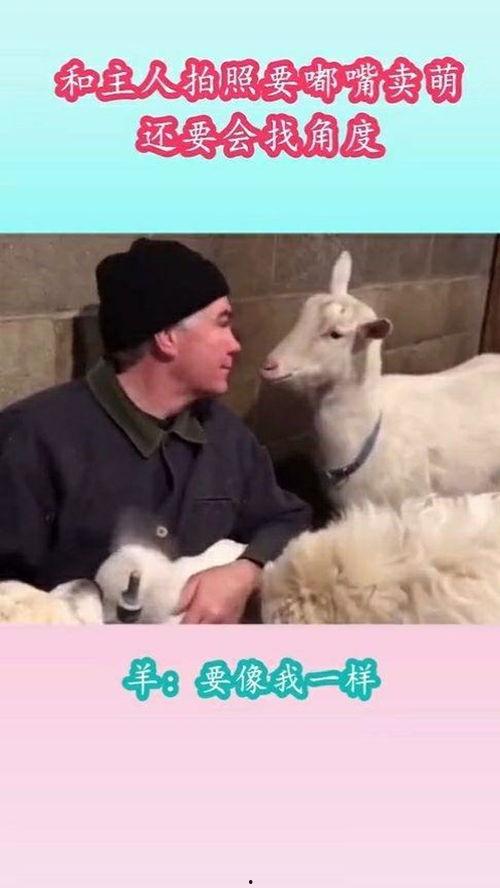 娱乐吃瓜酱外婆养大的羊羊视频